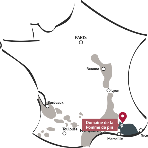Carte domaine de la pomme de pin