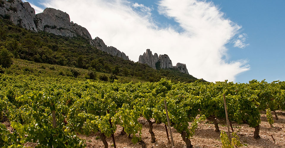 92 PTS PARKER VACQUEYRAS 2016, DOMAINE DE L'OISELET 1752 Wines